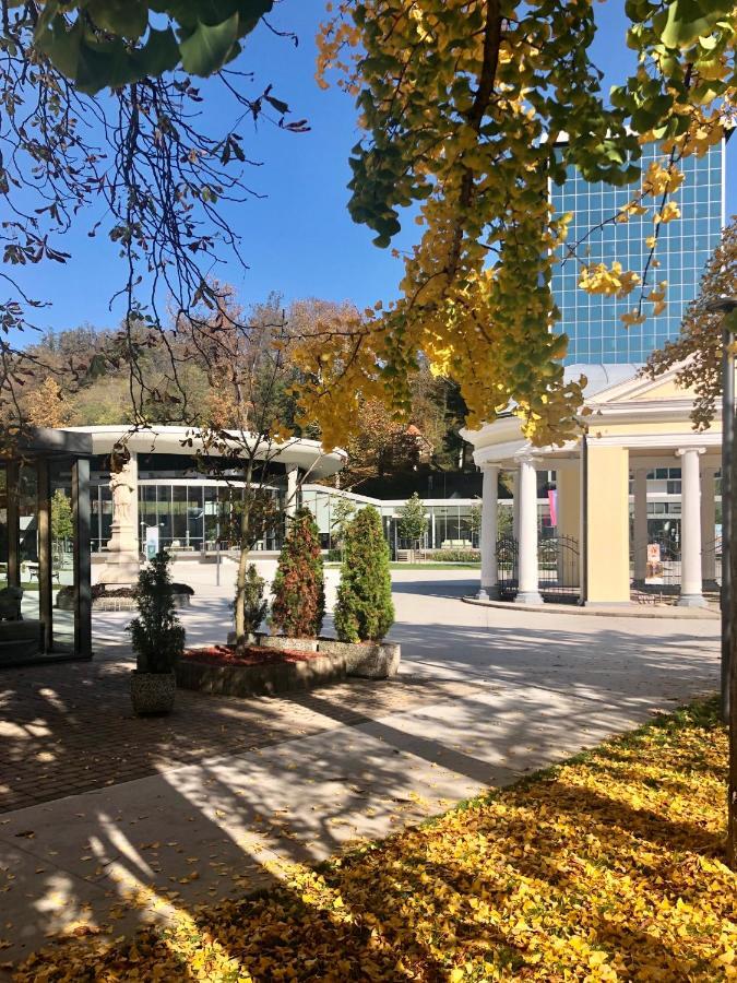 Apartment Vilapark 14 Рогашка Слатина Экстерьер фото